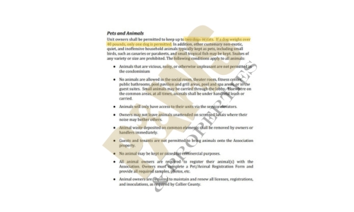 Hammock Bay Golf & CC Pet Policy