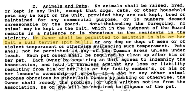 Village Walk Pet Policy