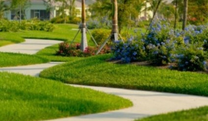 Sandoval Community Esplanade Walking path - Cape Coral Neighborhoods