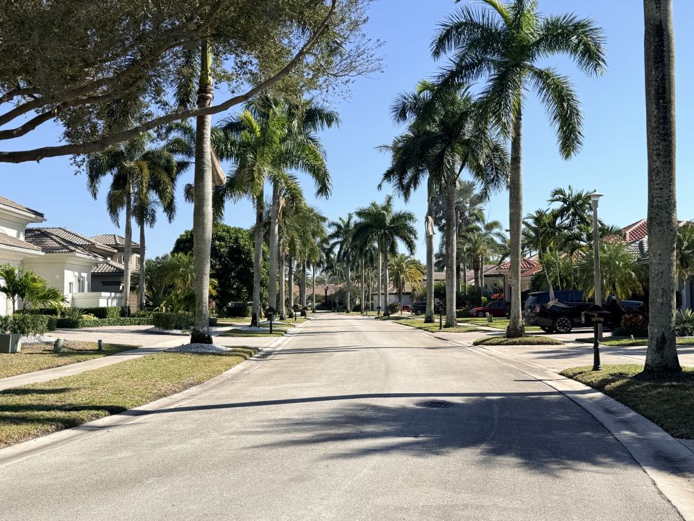 Tree Lined street in Hawks Landing Plantation Florida