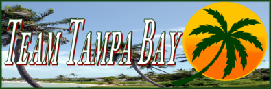 Tampa Bay Real Estate Pros Team Tampa Bay