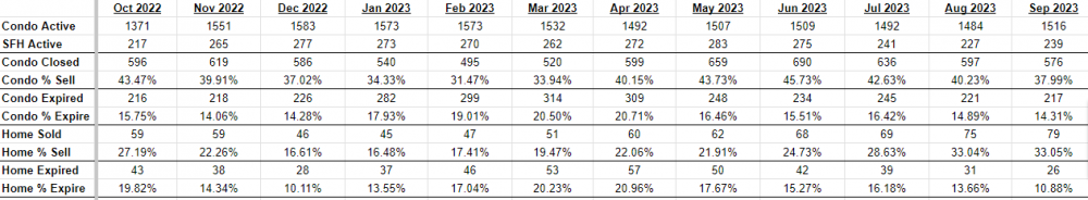 YTD Oct 2023 - Condo and Home Real Intelligence Real Estate Market Report